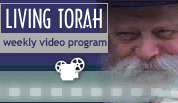 Weekly Video Program